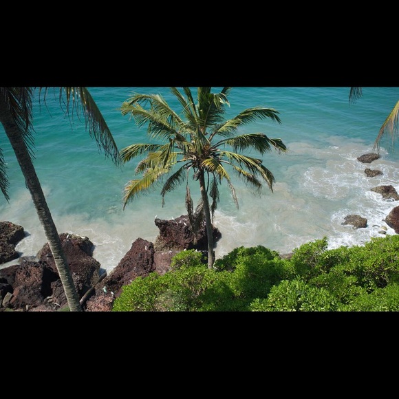 Meet your Posher, Jana - Picture 7 of 7